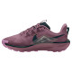 Nike Pegasus Trail 5